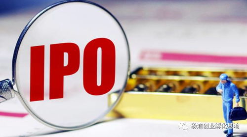 创业企业融资的战略安排与信息技术咨询服务