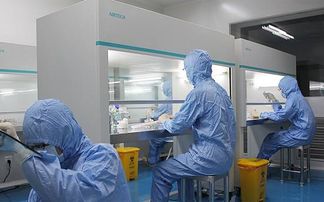 链科技咨询 耐高温新品种“青西1号”新鲜来袭